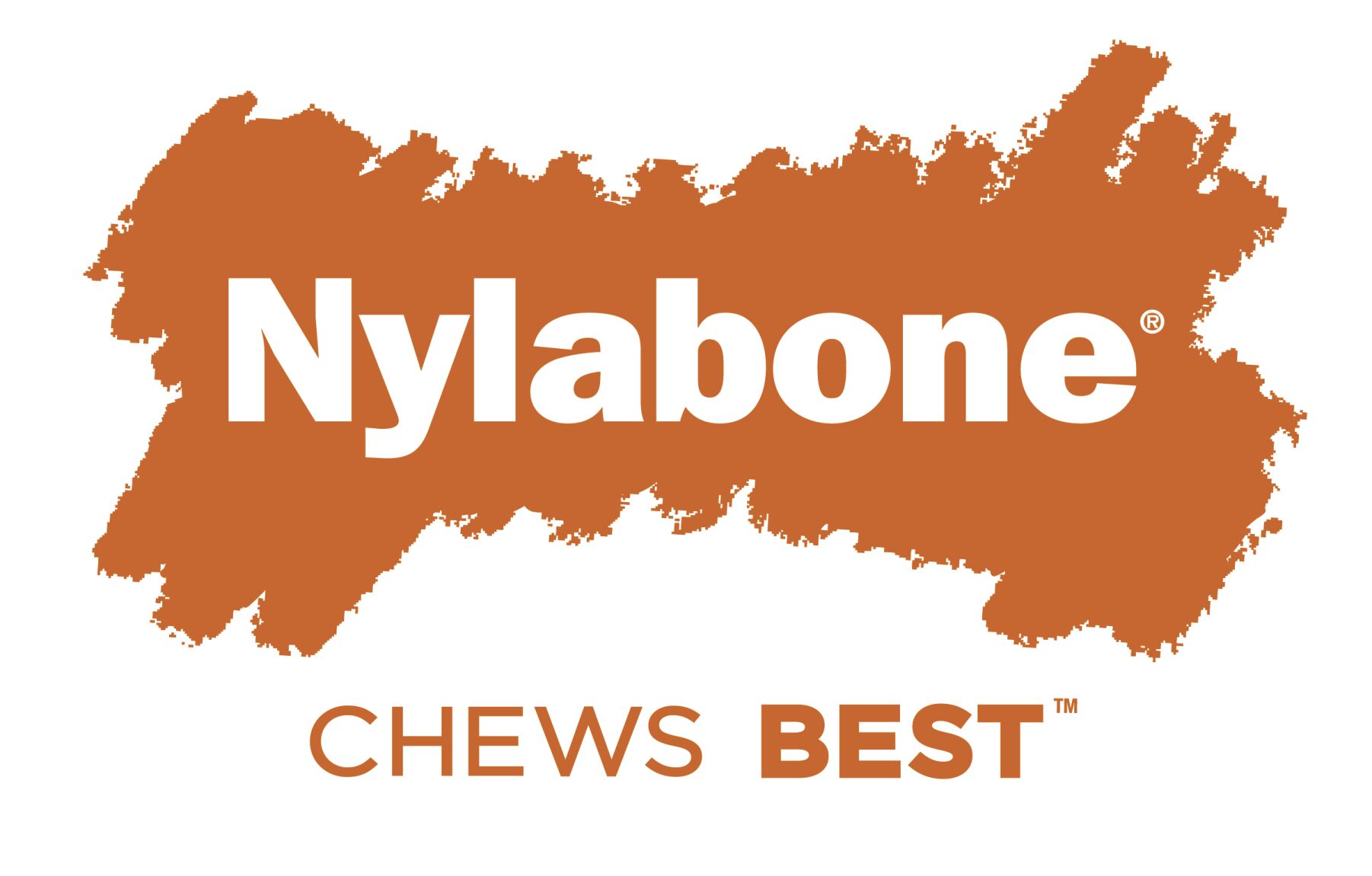 Logo-Nylabone-CMYK